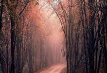 NBA在线直播jrs无插件直播好用吗？该怎么找到靠谱的观看入口？